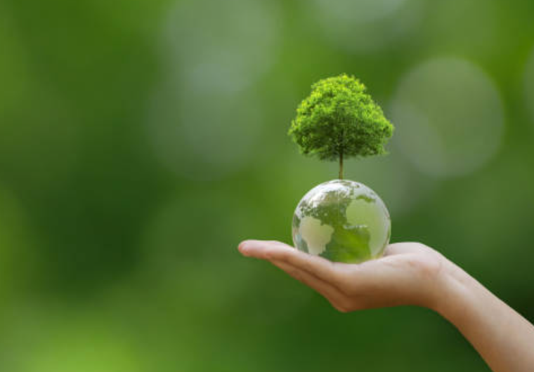 Formazione Eco sostenibilità ed Ambiente Formazione Eco